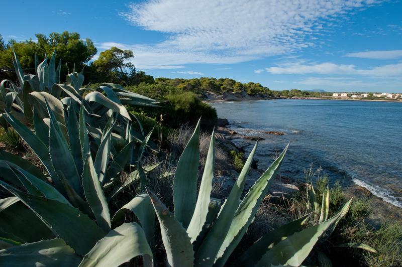Casitas De Pescadores El Estanyol Buitenkant foto